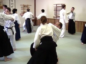 Randori during Shochugeiko